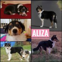Collage 6 Monate - Aliza