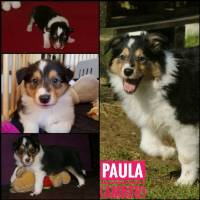 Collage 6 Monate - Paula