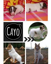 Collage-Cayo-6Monate