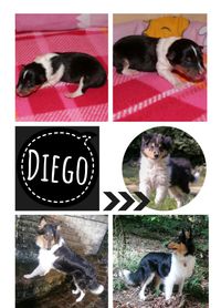 Collage-Diego-6Monate