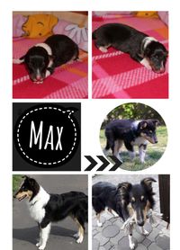Collage-Max-6Monate